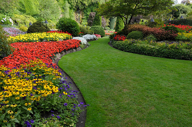 Lawn Care